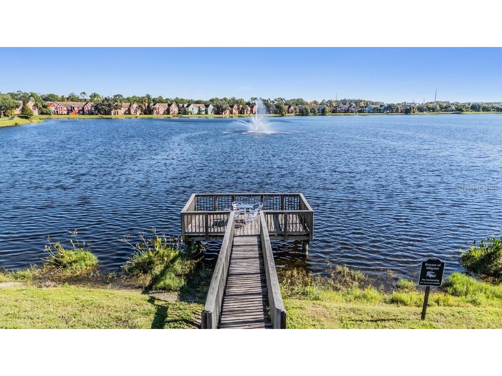 9552 Lake Chase Island Way #9552 Tampa FL 33626 TB8488059 image39