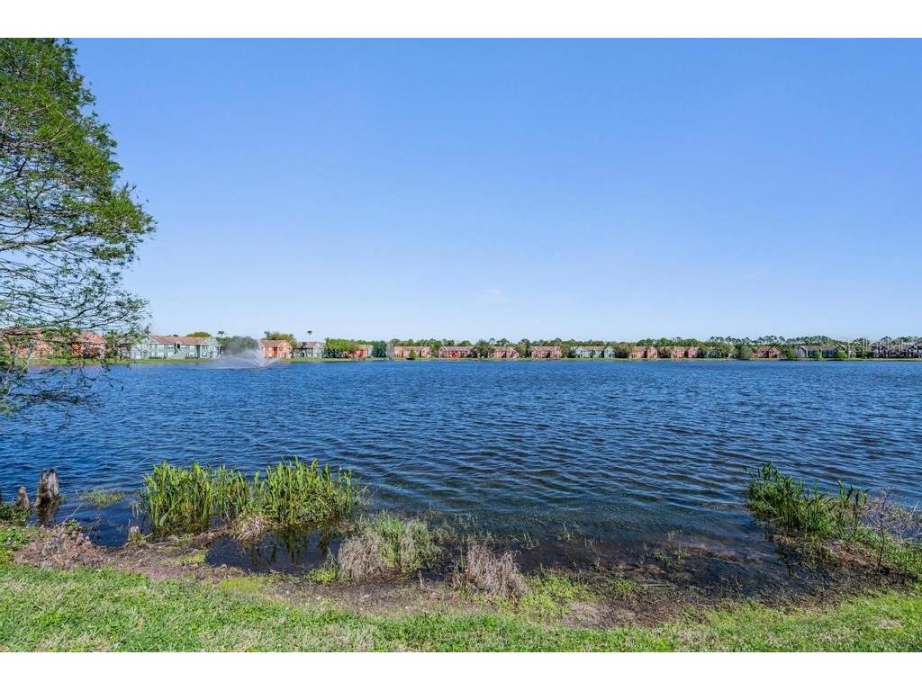 9552 Lake Chase Island Way #9552 Tampa FL 33626 TB8488059 image7