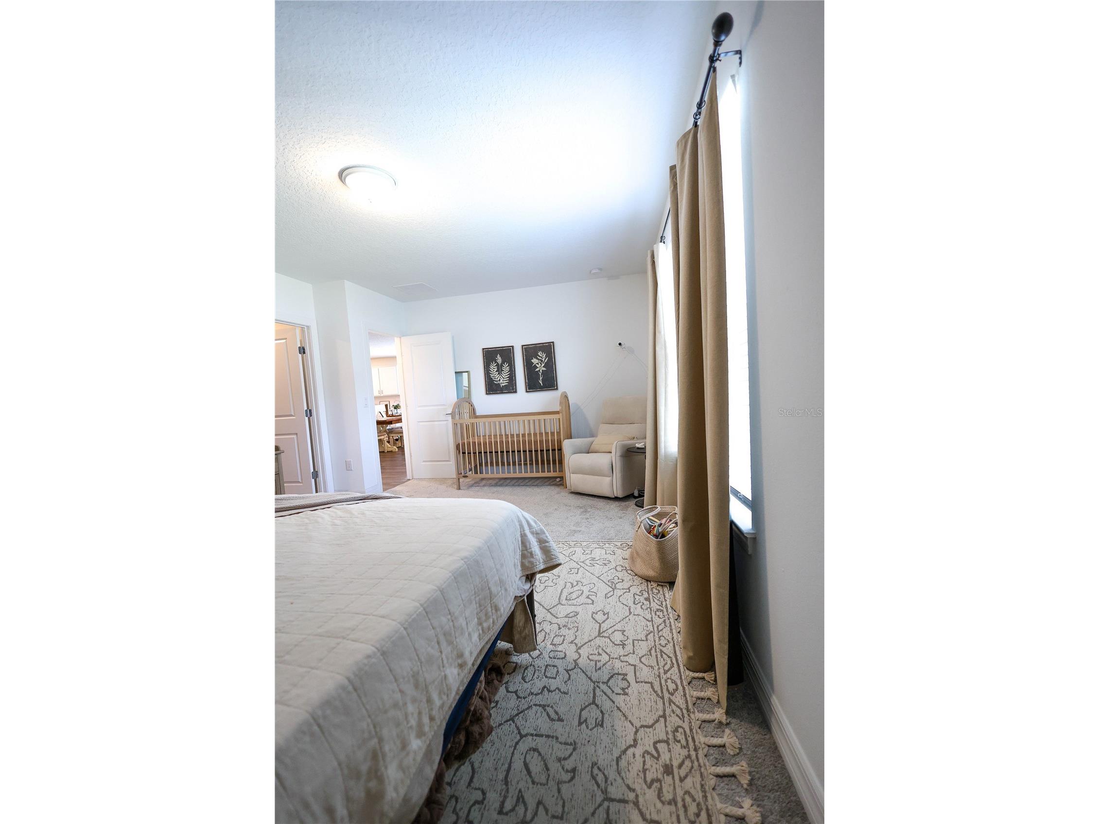9553 Summers Cay Circle Thonotosassa FL 33592 TB8510961 image18
