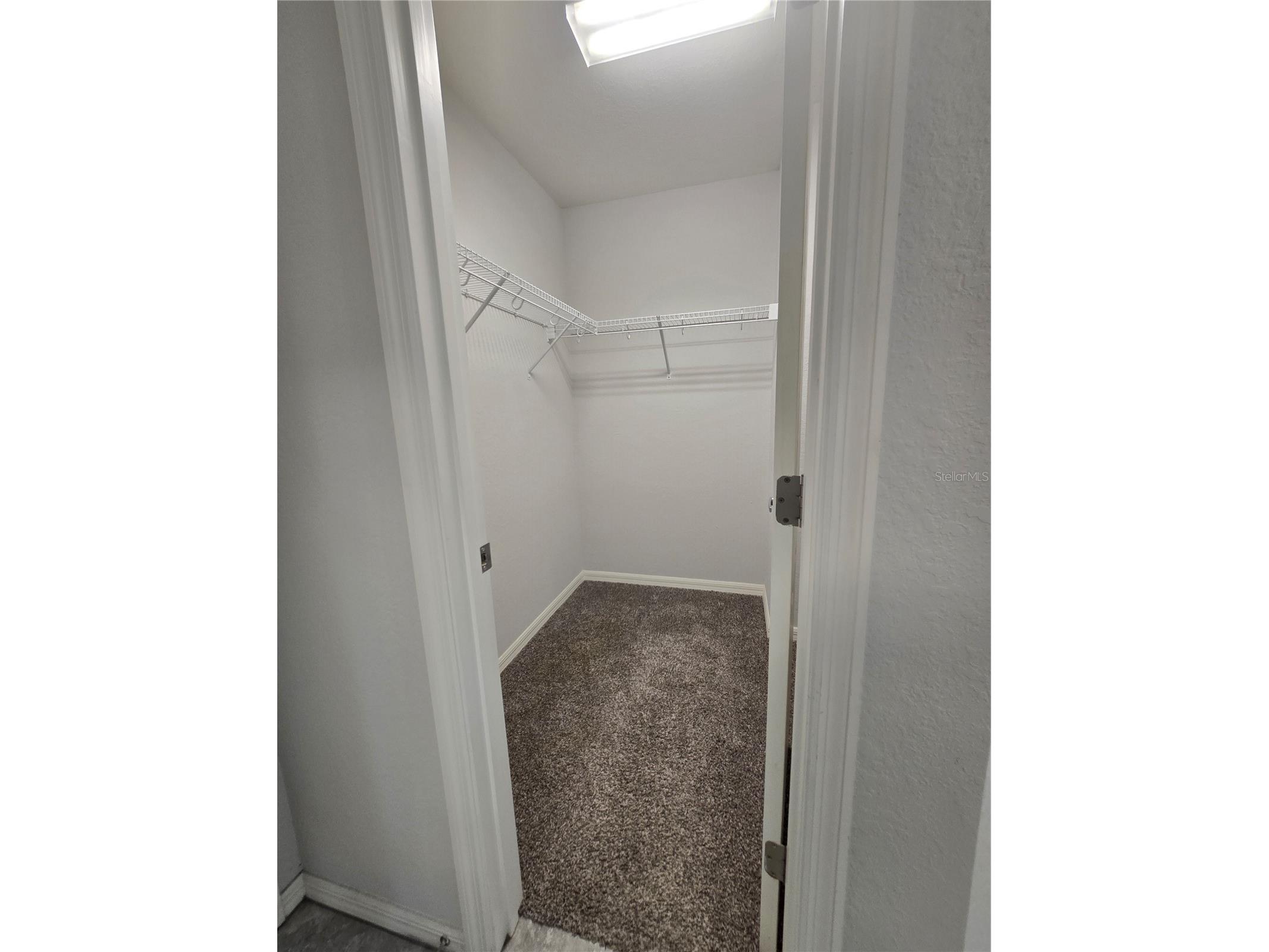9553 Tocobaga Place Riverview FL 33578 TB8532494 image15