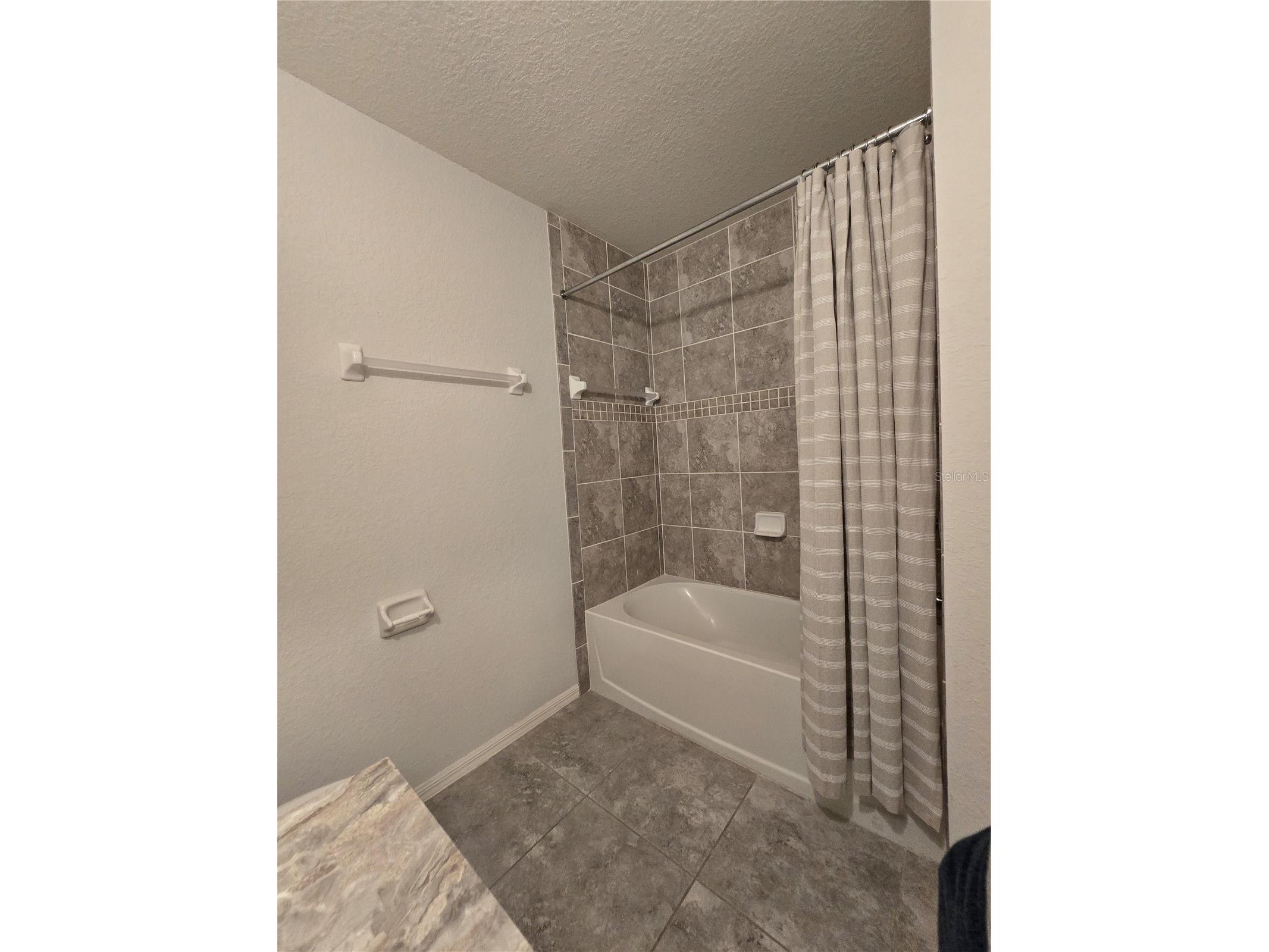 9553 Tocobaga Place Riverview FL 33578 TB8532494 image21