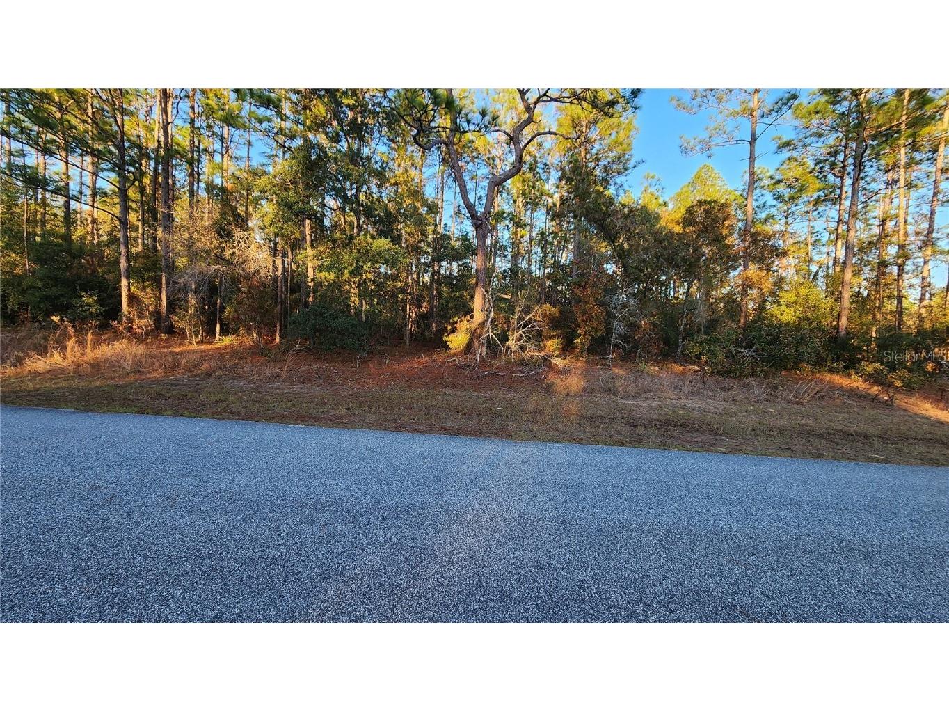 9555 N Old Mill Way Citrus Springs FL 34433 OM691477 image1