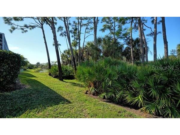 9559 Forest Hills Circle Sarasota FL 34238 A4679954 image34