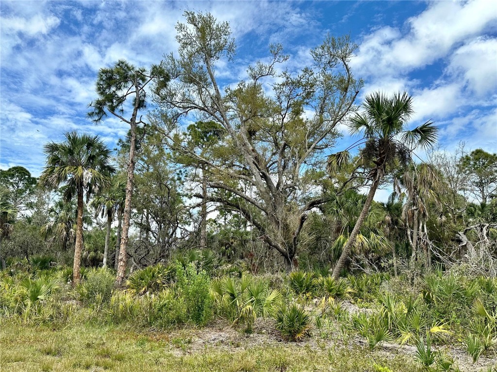 956 Biscayne Drive Port Charlotte FL 33953 A4602260 image1