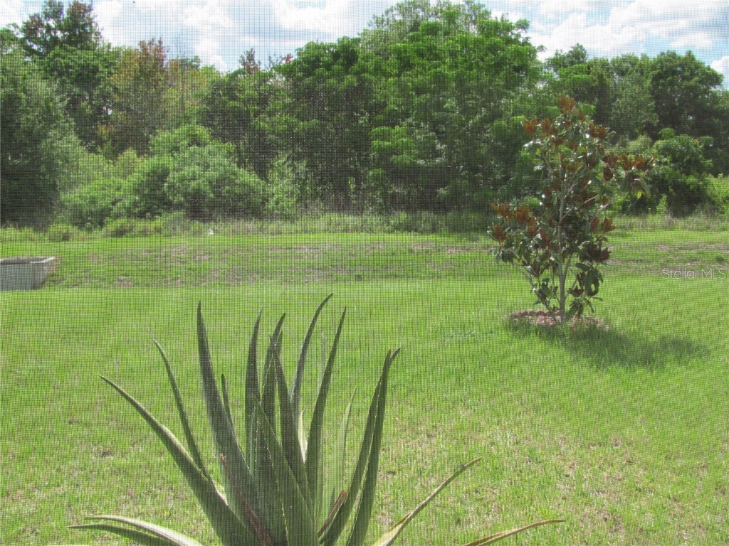 956 Chanler Drive Haines City FL 33844 S5138228 image9