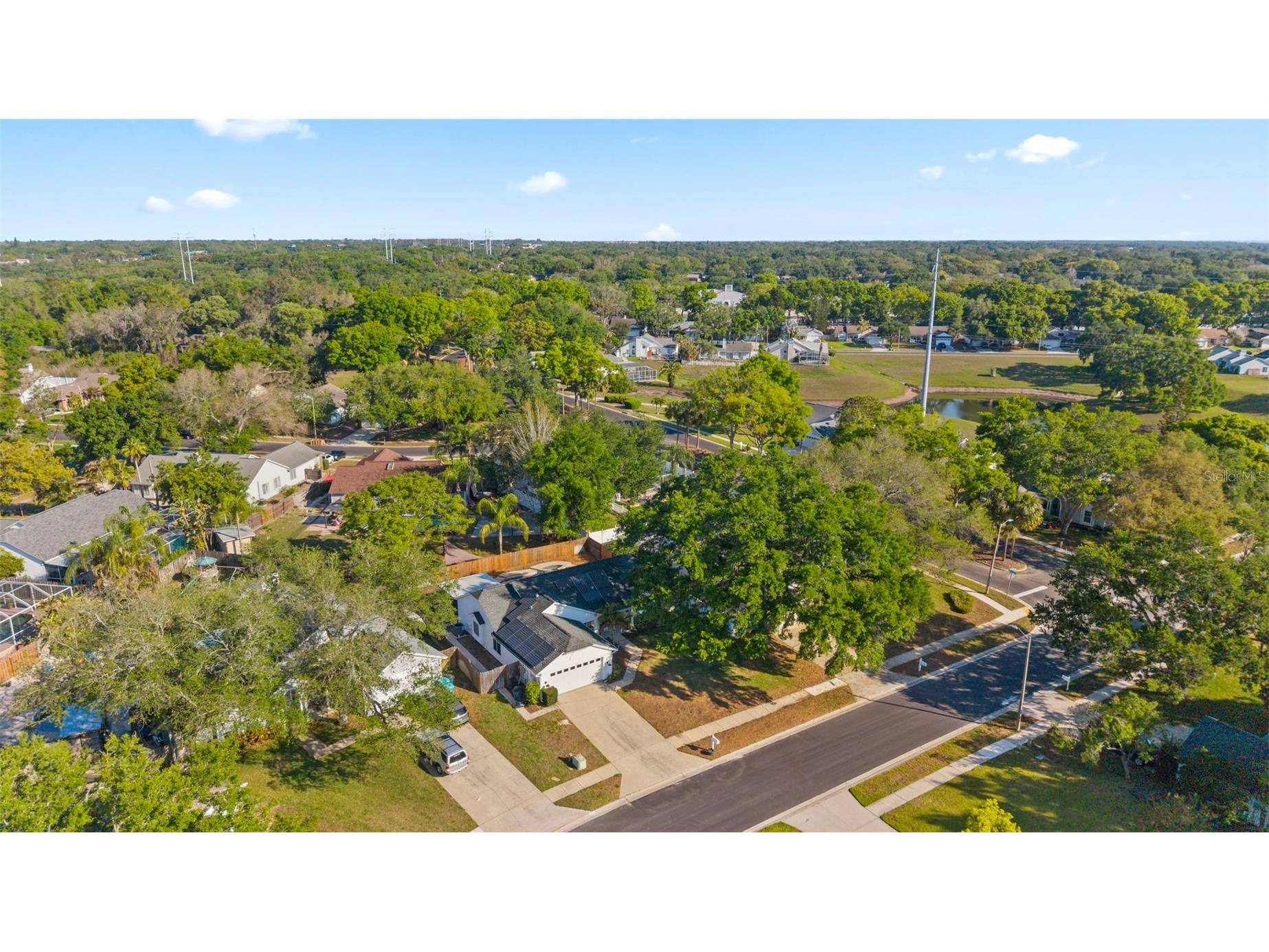 956 Edgehill Drive Palm Harbor FL 34684 TB8491743 image52