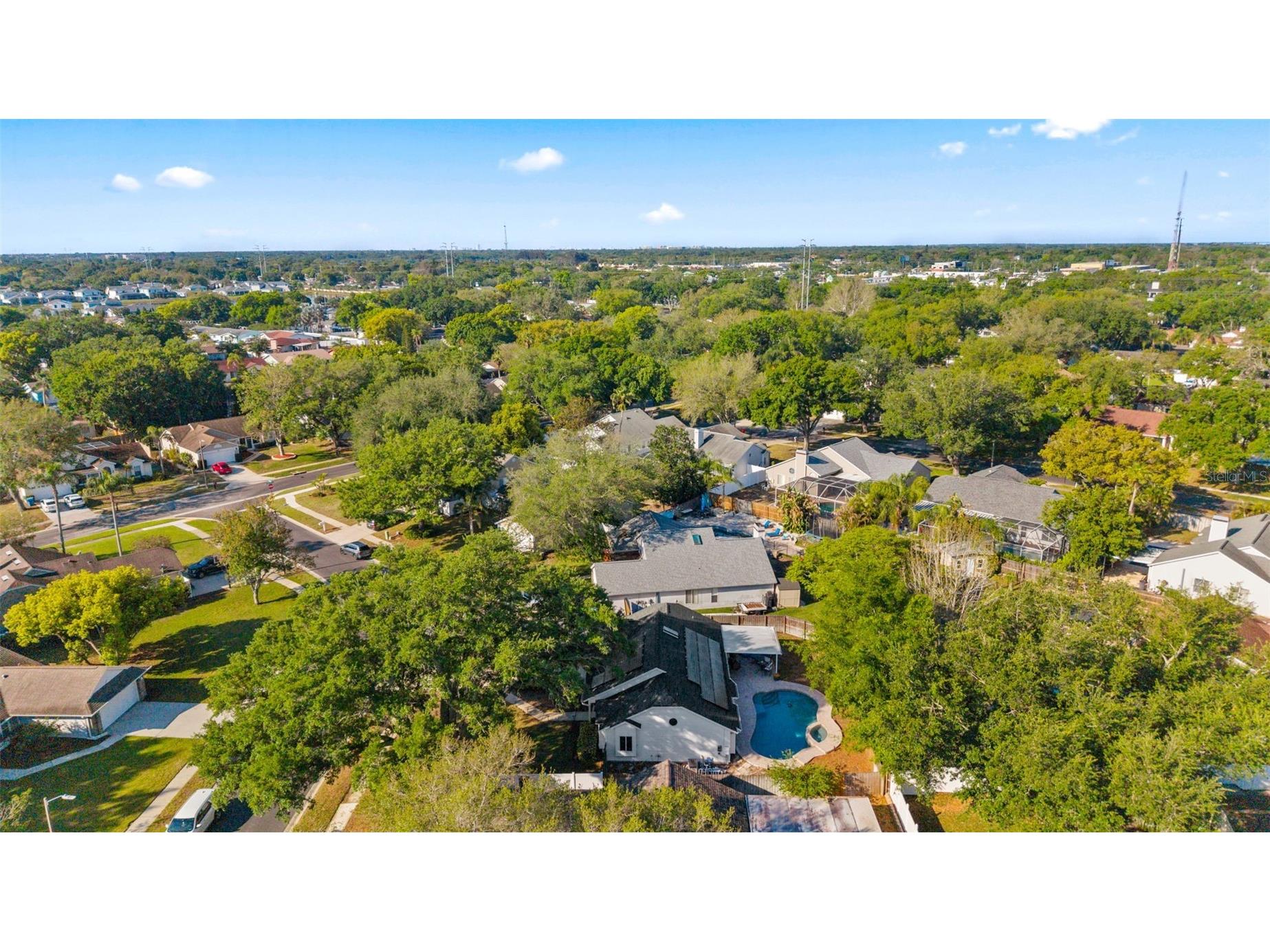 956 Edgehill Drive Palm Harbor FL 34684 TB8491743 image53