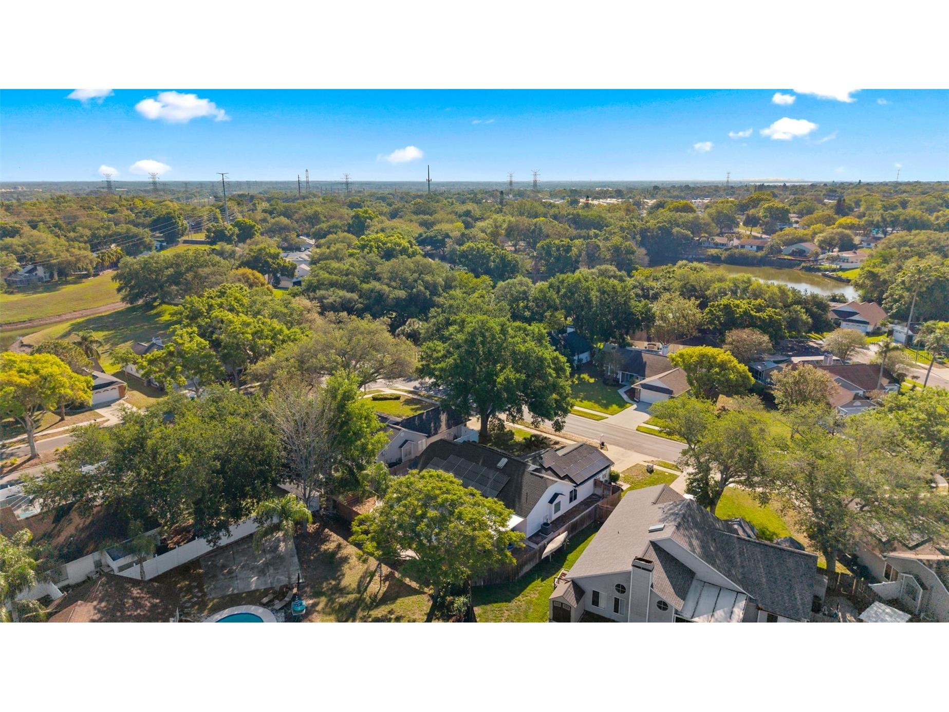 956 Edgehill Drive Palm Harbor FL 34684 TB8491743 image54