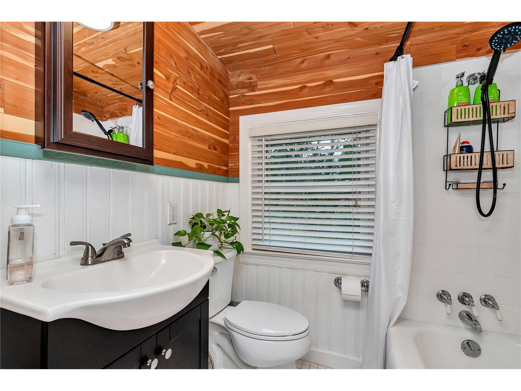 956 NE 5th Street Ocala FL 34470 OM725000 image34