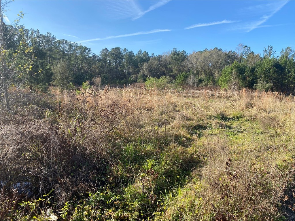 956 S Hwy 17 Satsuma FL 32189 V4928368 image1