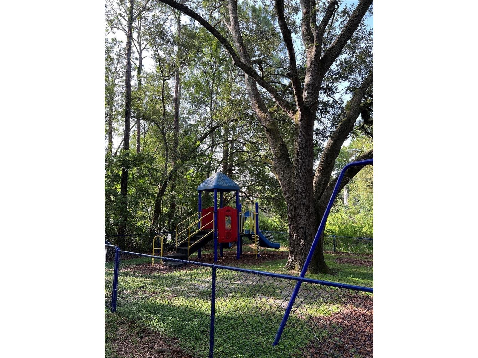 956 Salt Pond Place #204 Altamonte Springs FL 32714 O6422535 image25