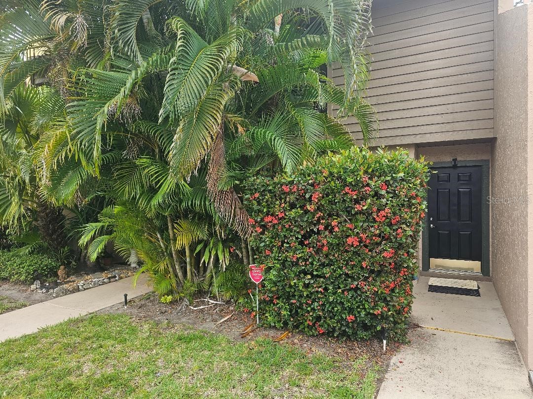956 Sunridge Drive #H2 Sarasota FL 34234 A4693012 image1