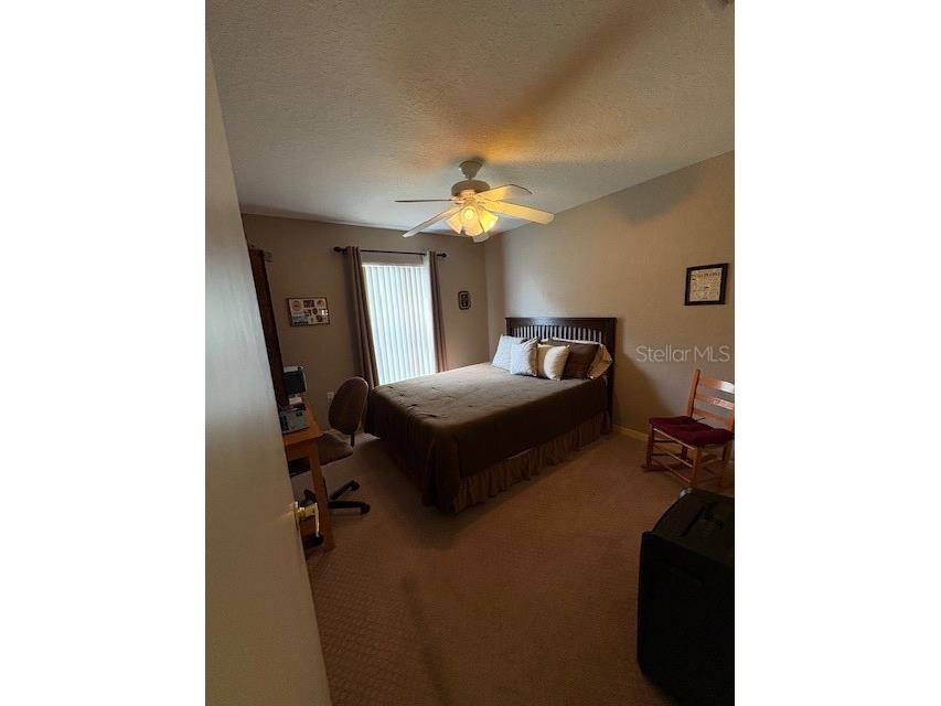 9560 Pinetree Drive Lake Wales FL 33898 K4903078 image25