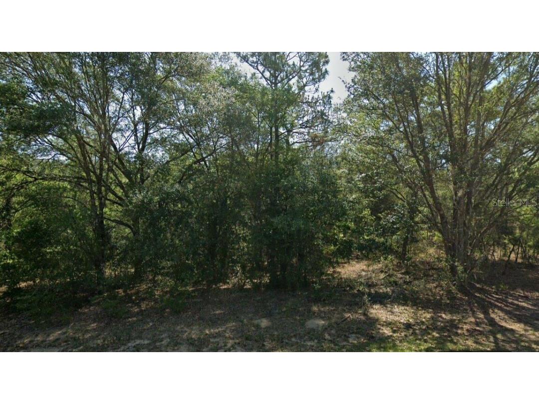 9563 N Lily Drive Citrus Springs FL 34434 T3505207 image1