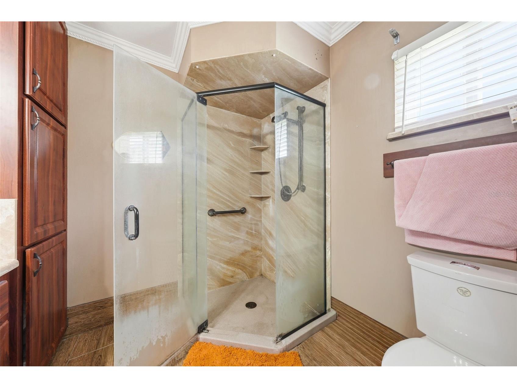 9565 SE 173rd Place Summerfield FL 34491 G5113017 image23