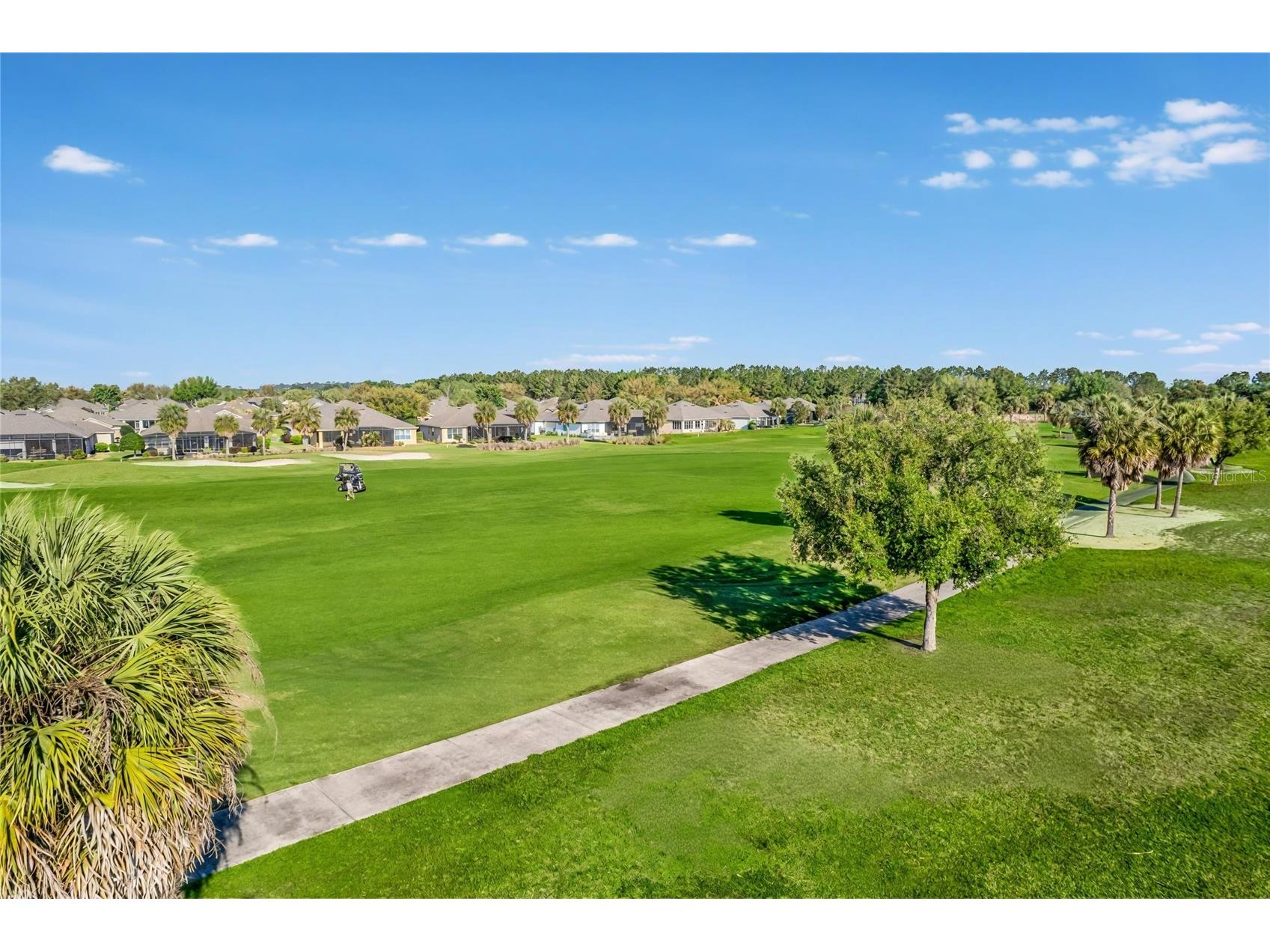 9565 SW 70th Loop Ocala FL 34481 OM722678 image53