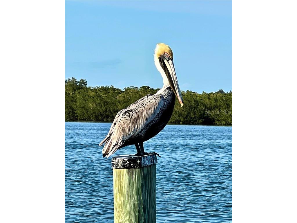 9568 Buccaneer Trail Placida FL 33946 D6144788 image44