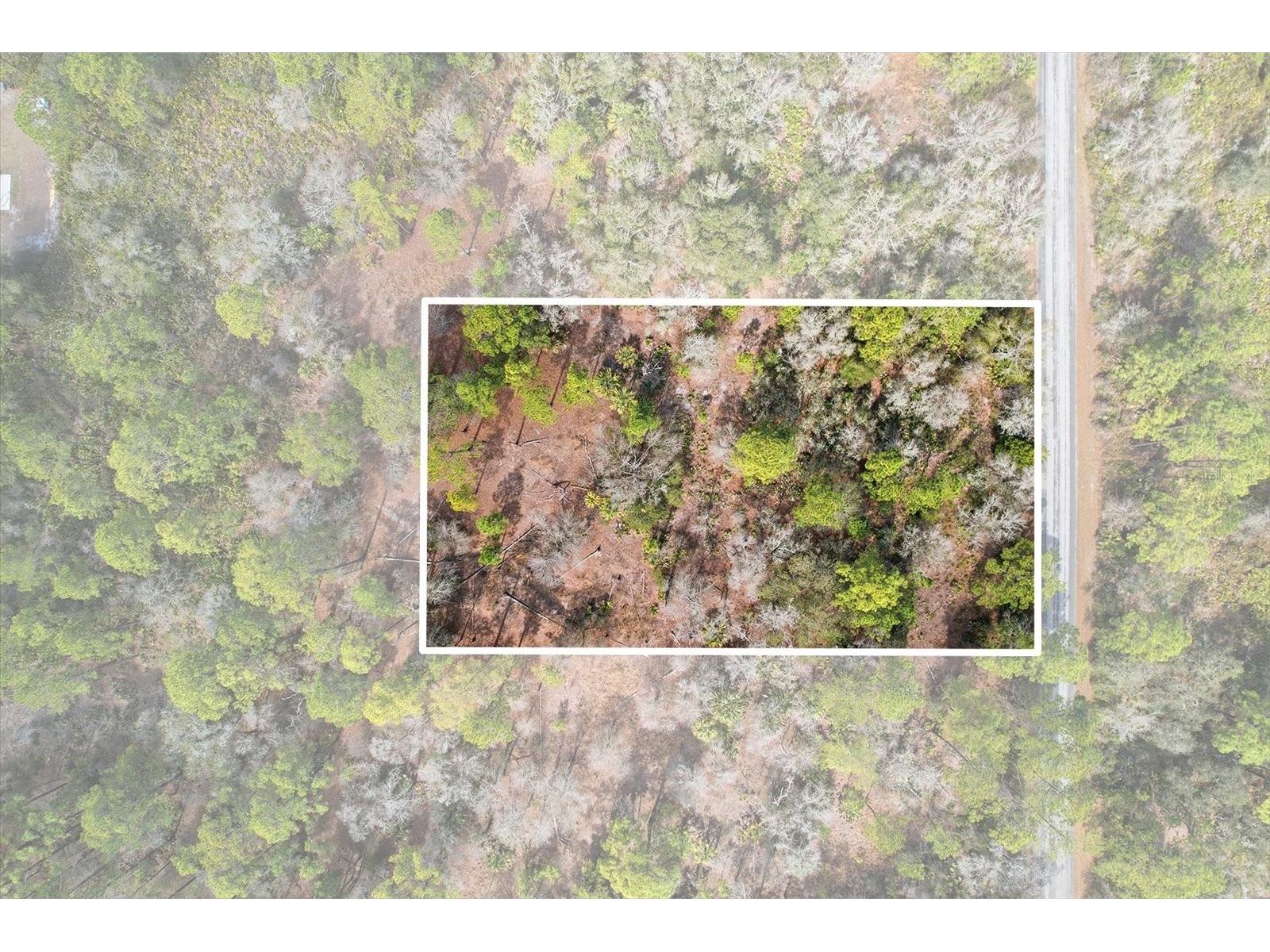 9568 N Dawnflower Avenue Crystal River FL 34428 TB8493851 image1