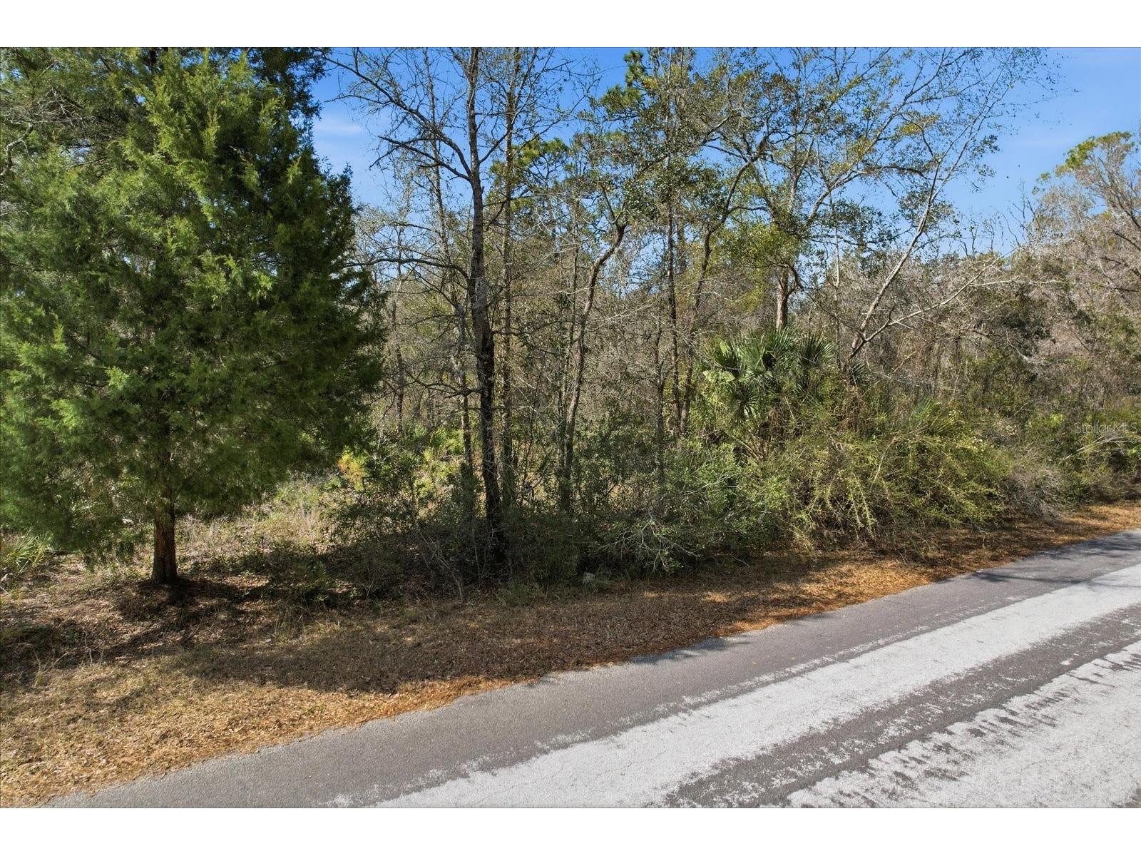 9568 N Dawnflower Avenue Crystal River FL 34428 TB8493851 image10