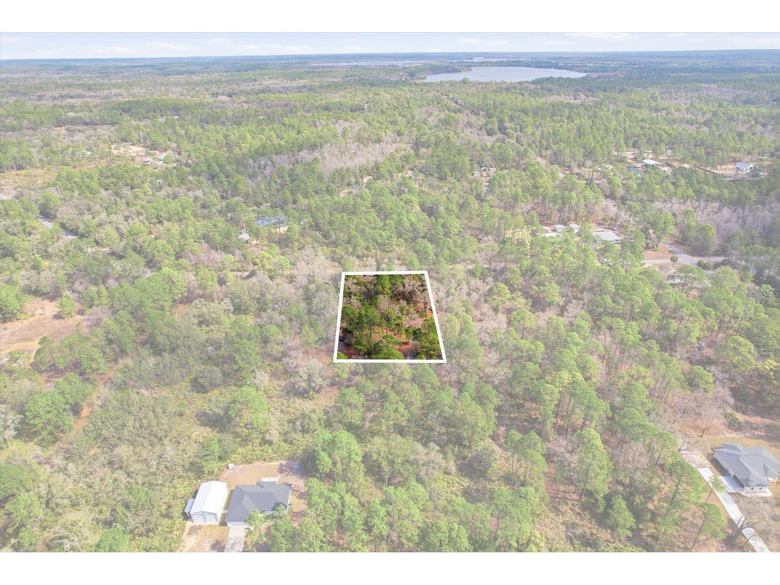 9568 N Dawnflower Avenue Crystal River FL 34428 TB8493851 image11