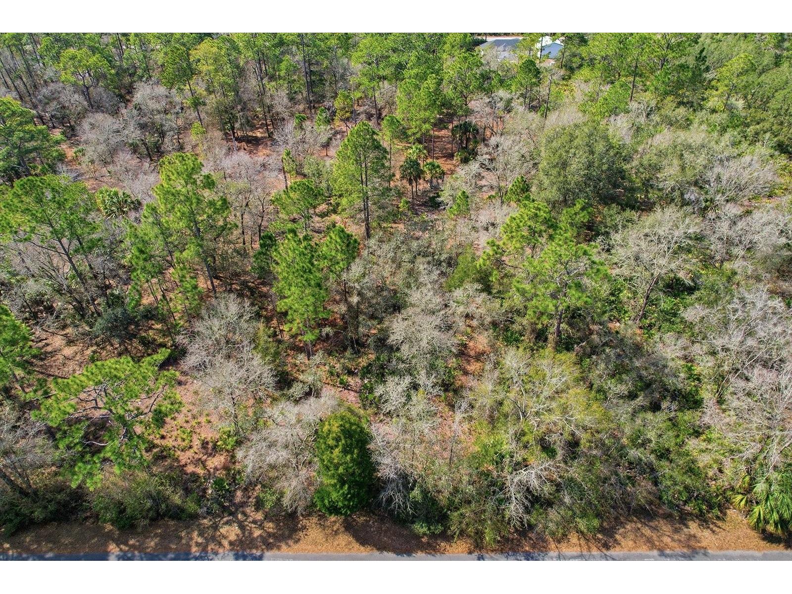 9568 N Dawnflower Avenue Crystal River FL 34428 TB8493851 image12