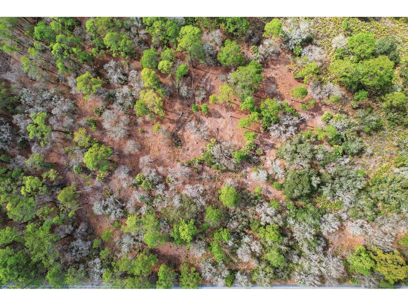 9568 N Dawnflower Avenue Crystal River FL 34428 TB8493851 image13