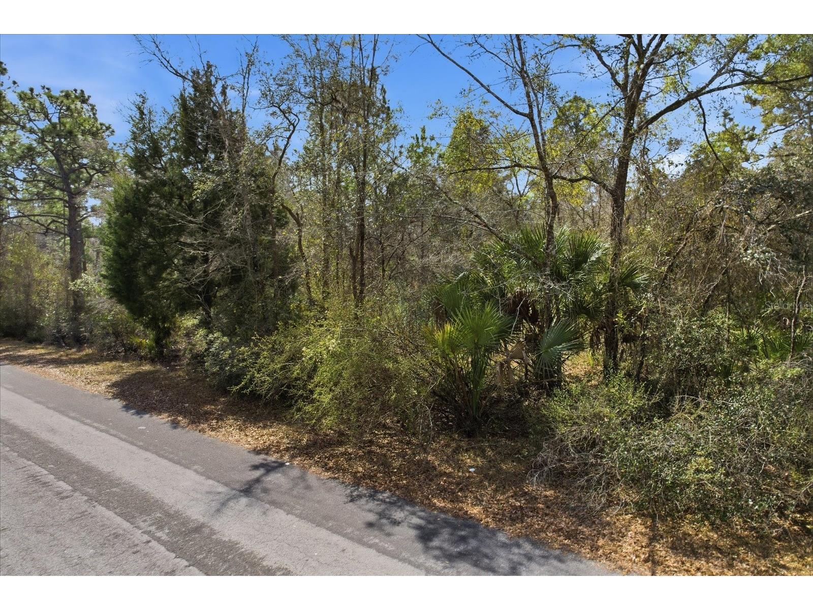 9568 N Dawnflower Avenue Crystal River FL 34428 TB8493851 image2