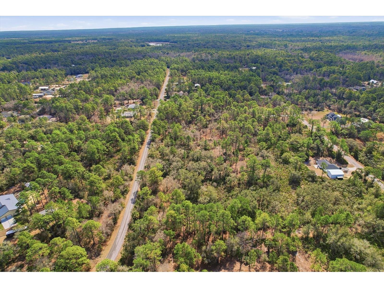 9568 N Dawnflower Avenue Crystal River FL 34428 TB8493851 image4