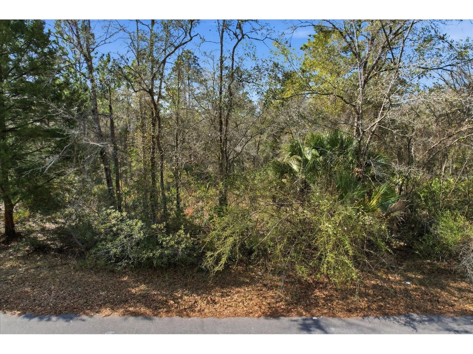9568 N Dawnflower Avenue Crystal River FL 34428 TB8493851 image5