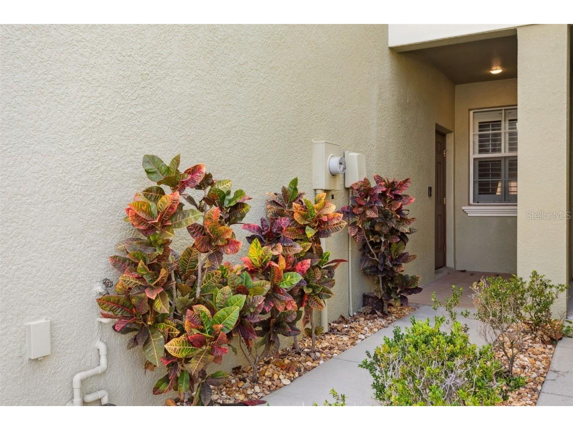 9568 Trumpet Vine Loop Trinity FL 34655 TB8452953 image3