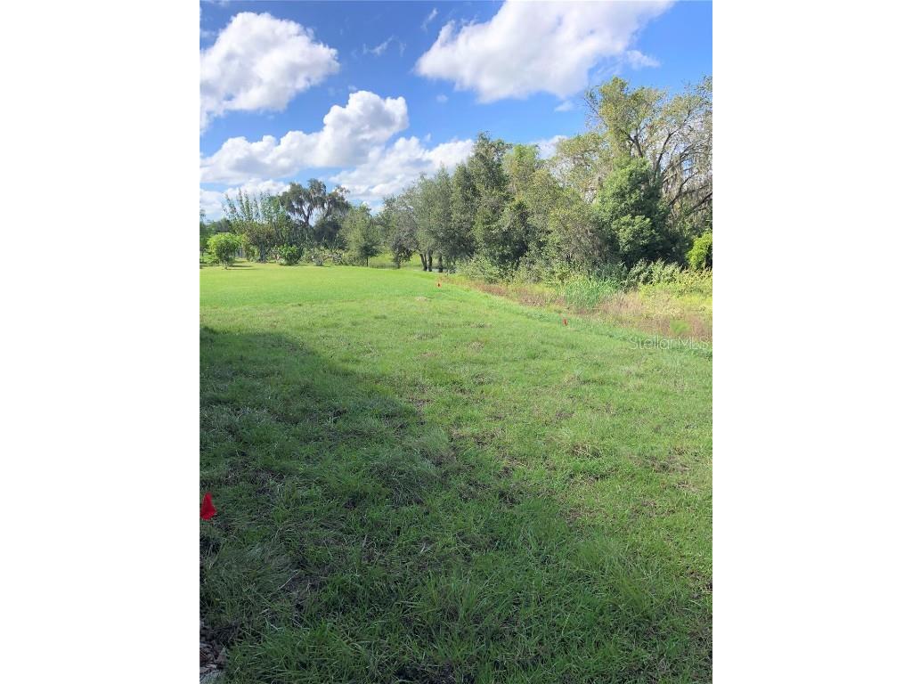 957 Deming Drive Winter Haven FL 33880 L4954761 image39