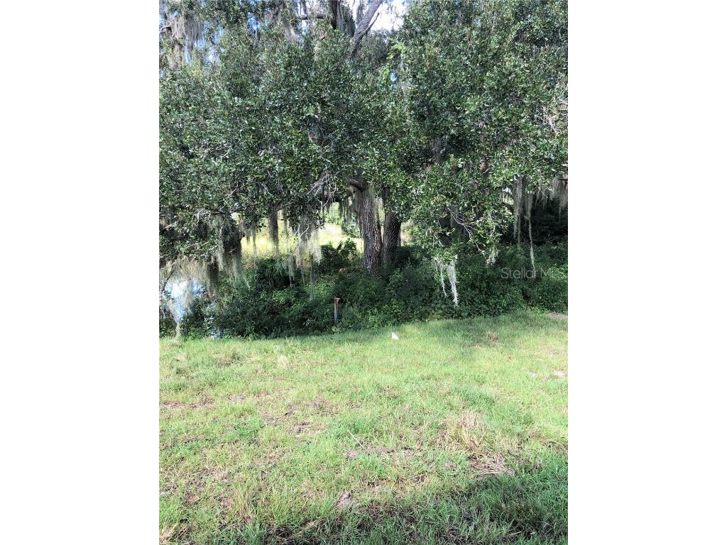 957 Deming Drive Winter Haven FL 33880 L4954761 image41