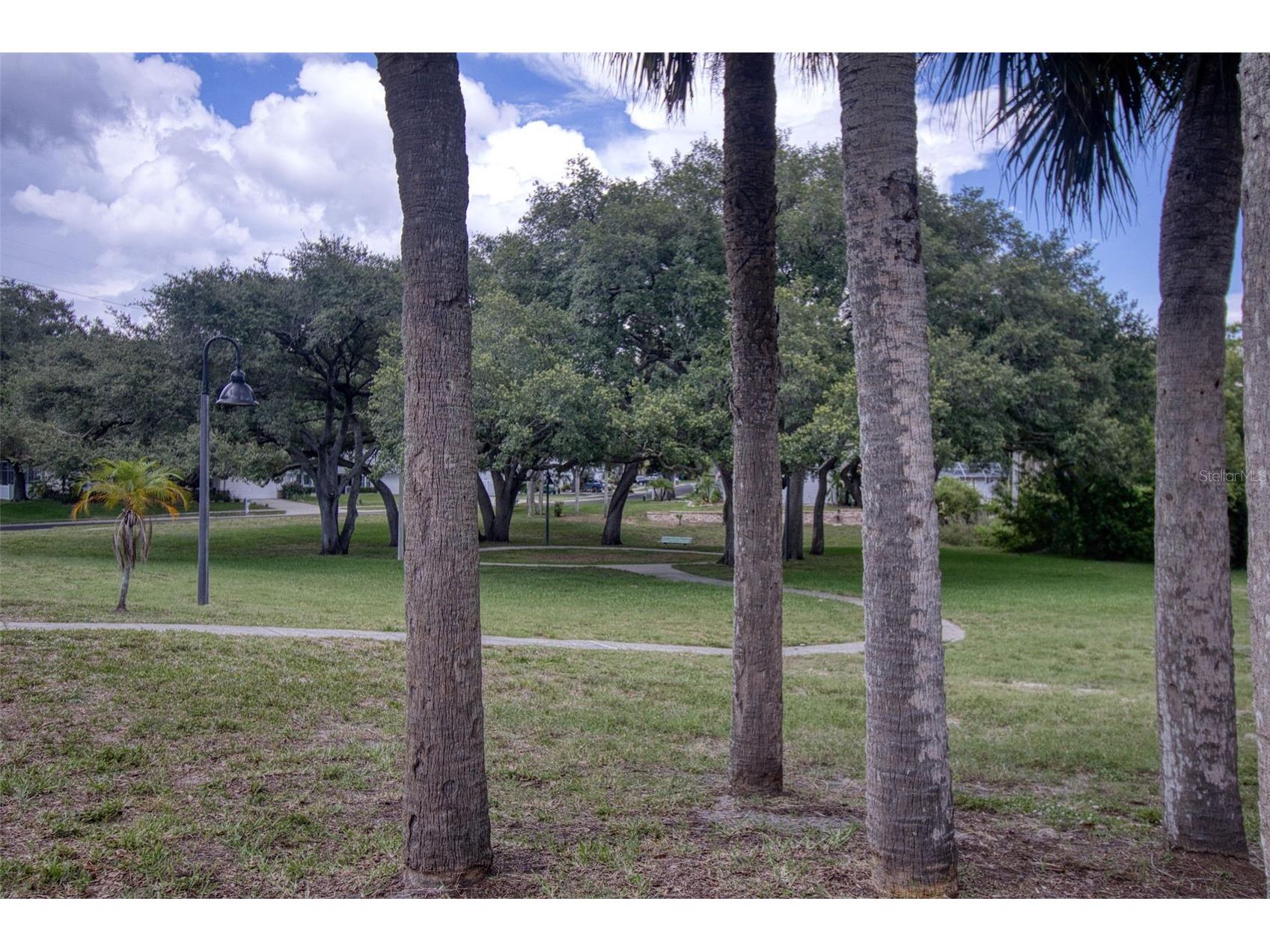 957 Edgehill Drive Palm Harbor FL 34684 TB8510478 image41