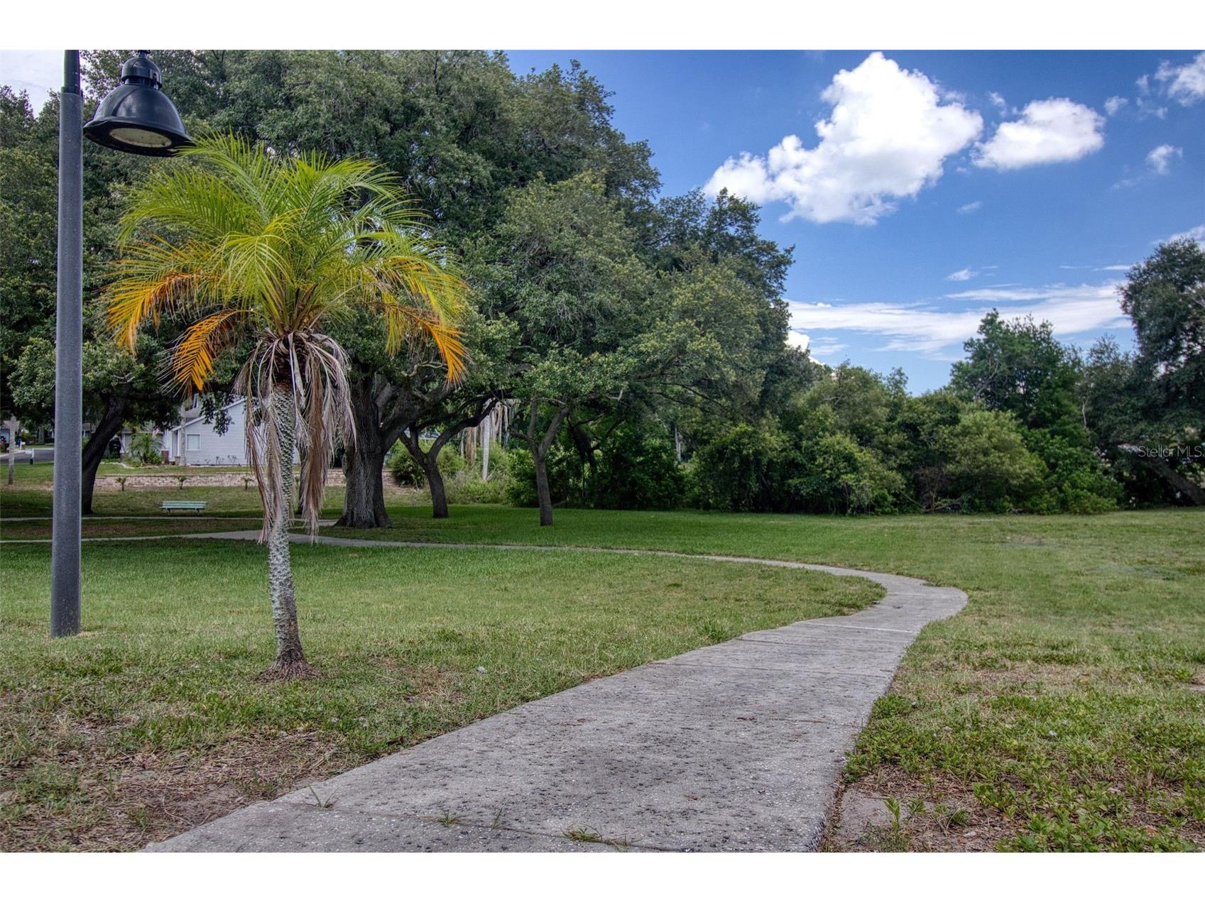 957 Edgehill Drive Palm Harbor FL 34684 TB8510478 image42