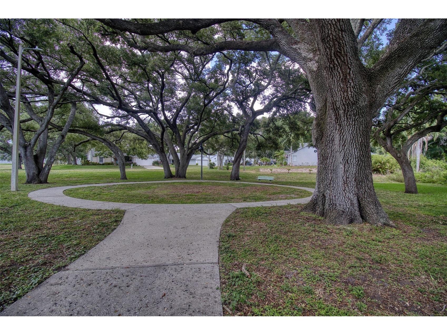 957 Edgehill Drive Palm Harbor FL 34684 TB8510478 image43