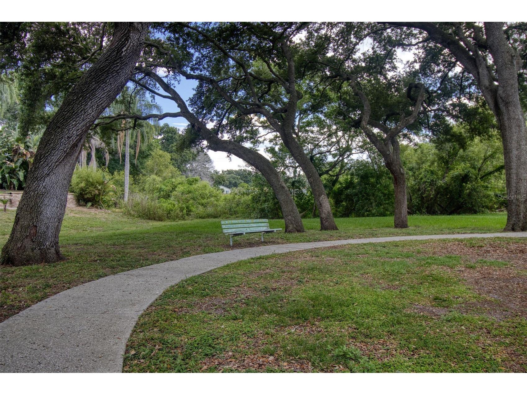 957 Edgehill Drive Palm Harbor FL 34684 TB8510478 image44