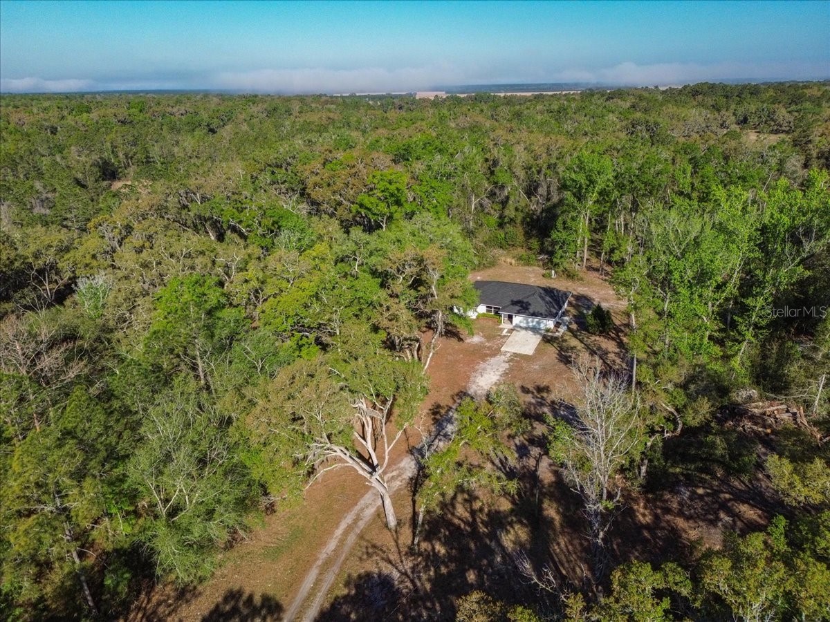 957 NE 354th Avenue Old Town FL 32680 GC538851 image11