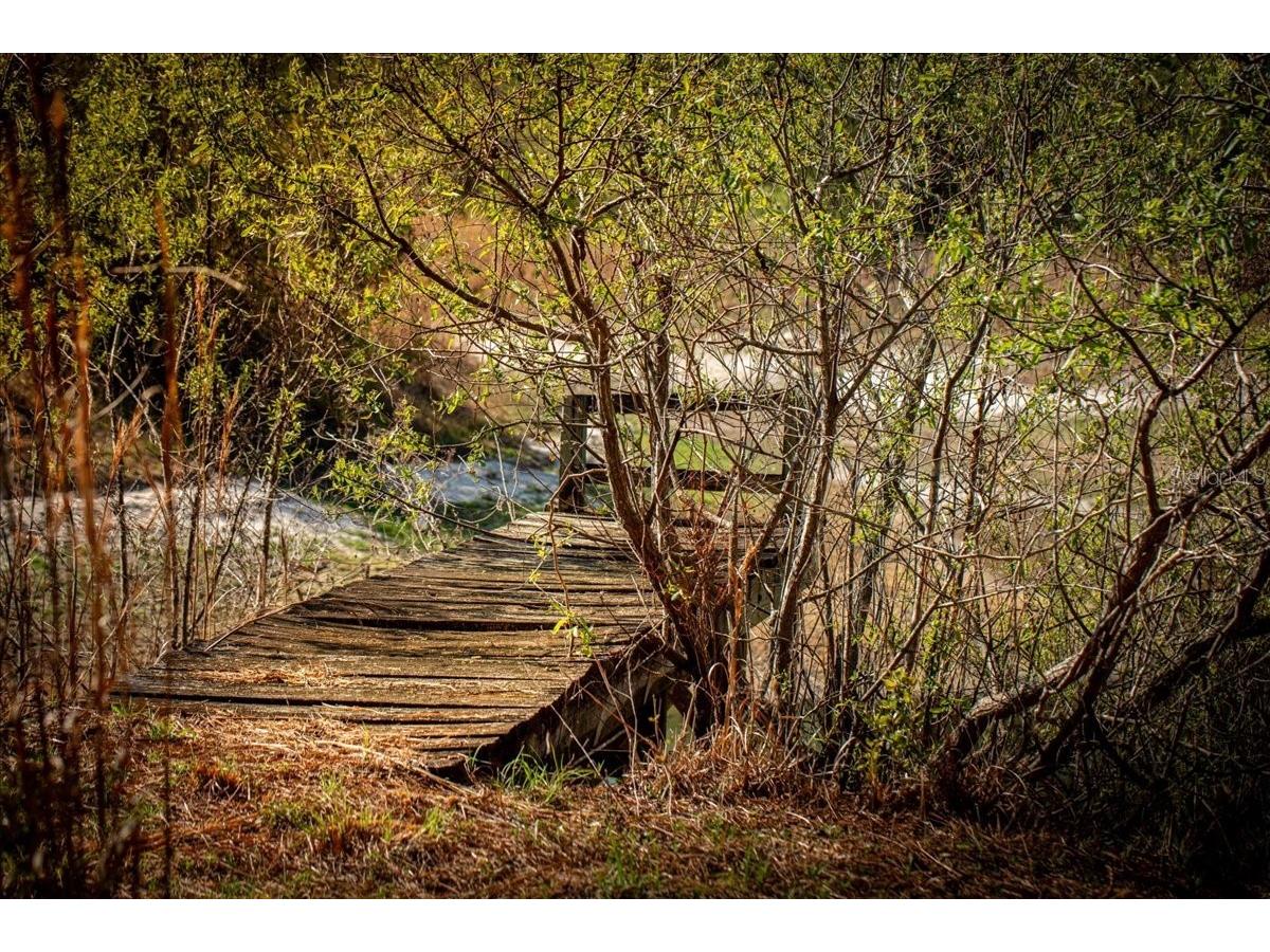 957 NE 354th Avenue Old Town FL 32680 GC538851 image47