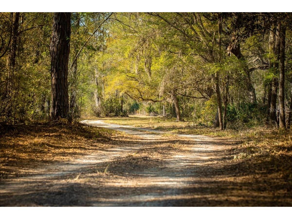 957 NE 354th Avenue Old Town FL 32680 GC538851 image6