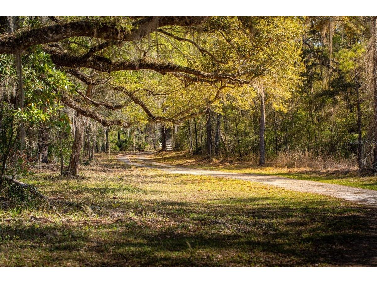 957 NE 354th Avenue Old Town FL 32680 GC538851 image7