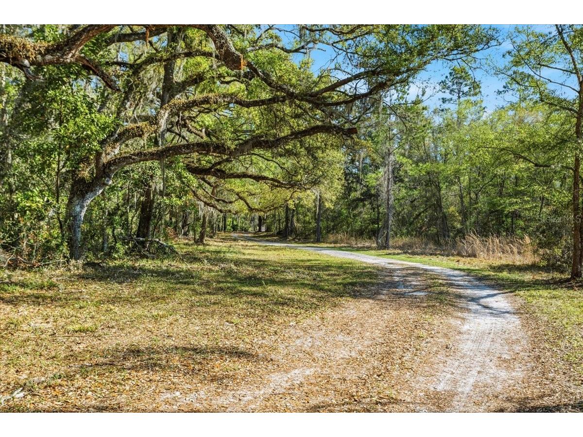 957 NE 354th Avenue Old Town FL 32680 GC538851 image8