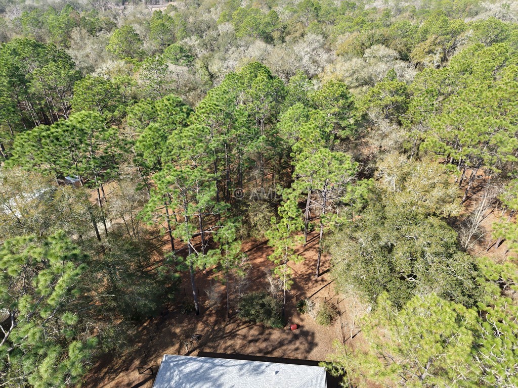 9570 SW 215th Court Road Dunnellon FL 34431 OM719272 image5