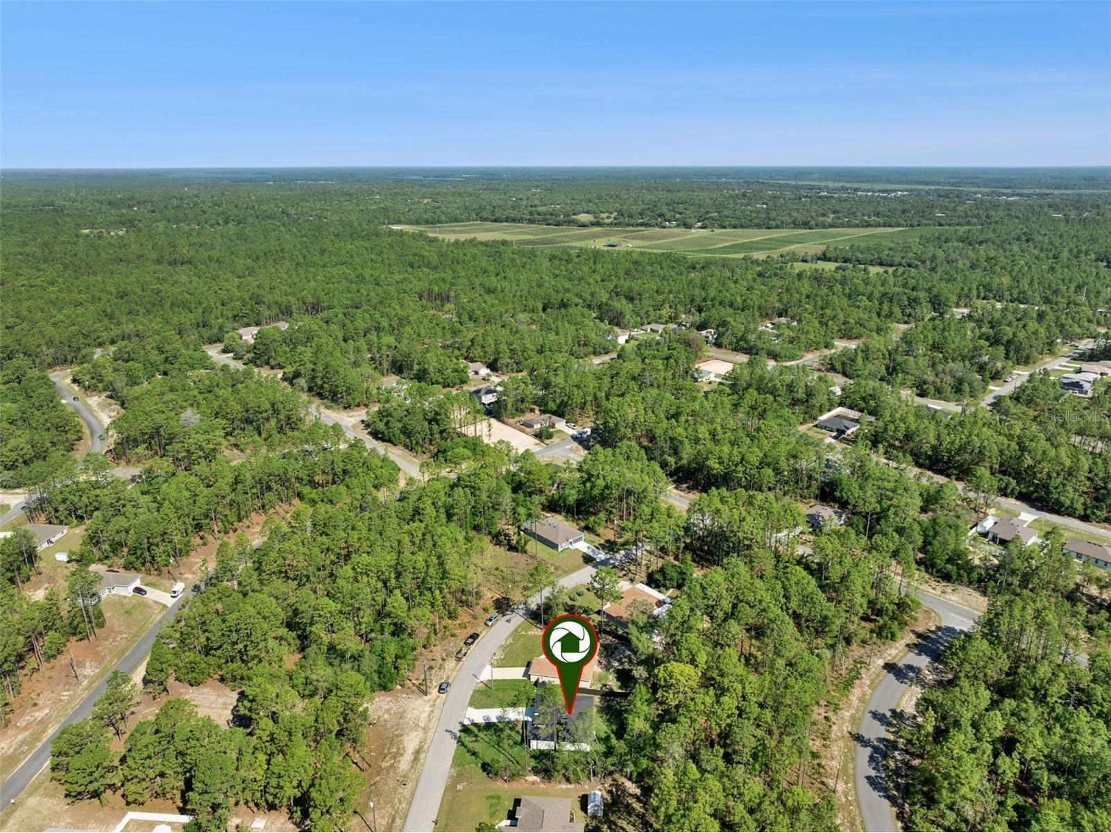 9571 N Old Mill Way Citrus Springs FL 34433 O6409486 image29