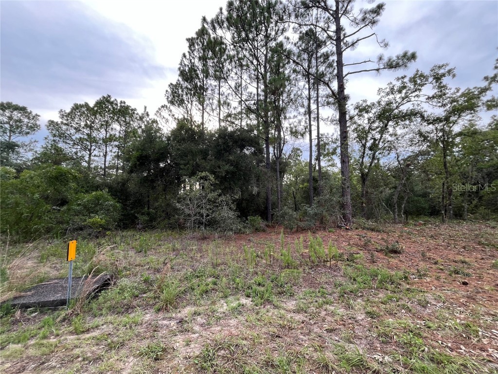 9572 N San Marcos Way Dunnellon FL 34433 OK224164 image1