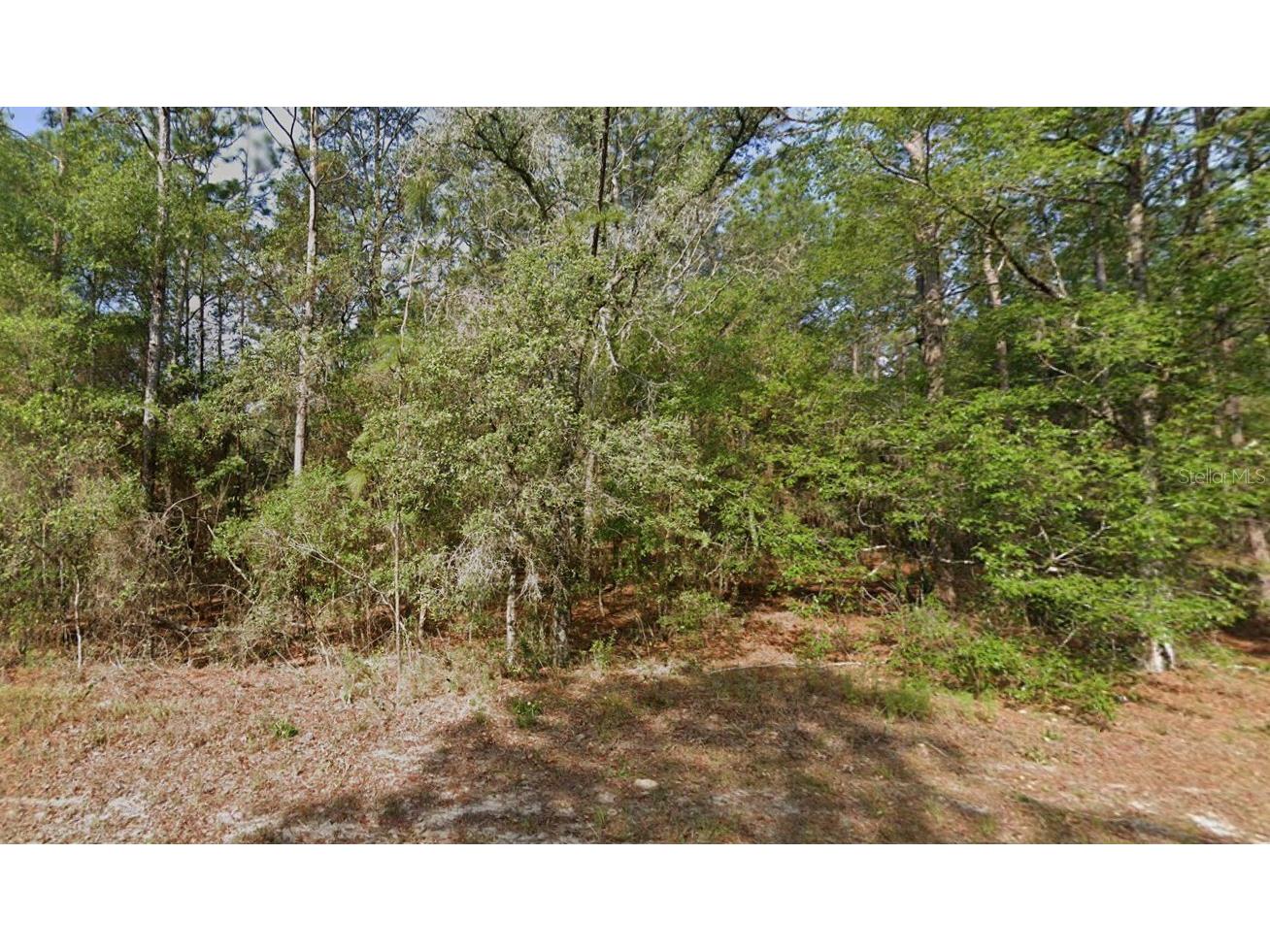 9572 N Sandree Drive Citrus Springs FL 34434 S5123127 image1