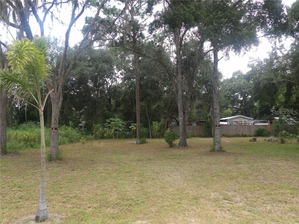 9573 Fern Street New Port Richey FL 34654 U8209552 image1