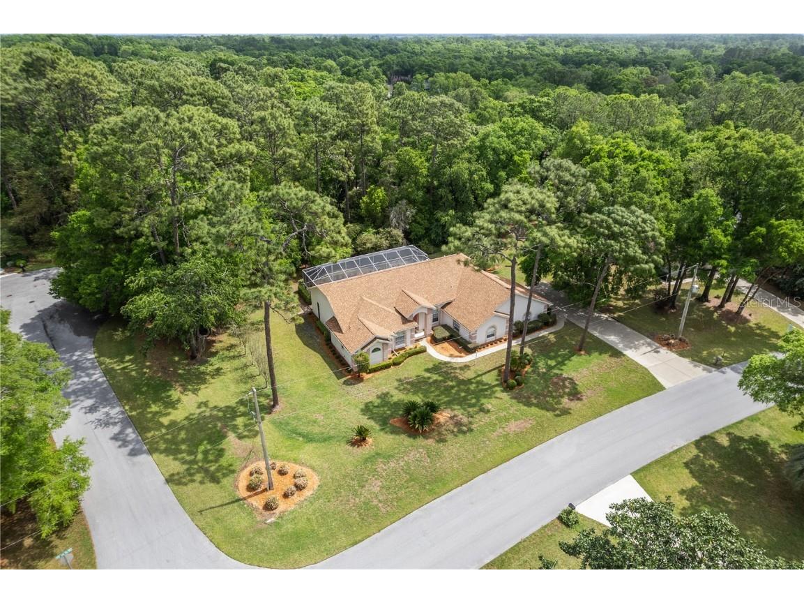 9573 SW 196th Avenue Road Dunnellon FL 34432 - RAINBOW RIVER OM698533 image1