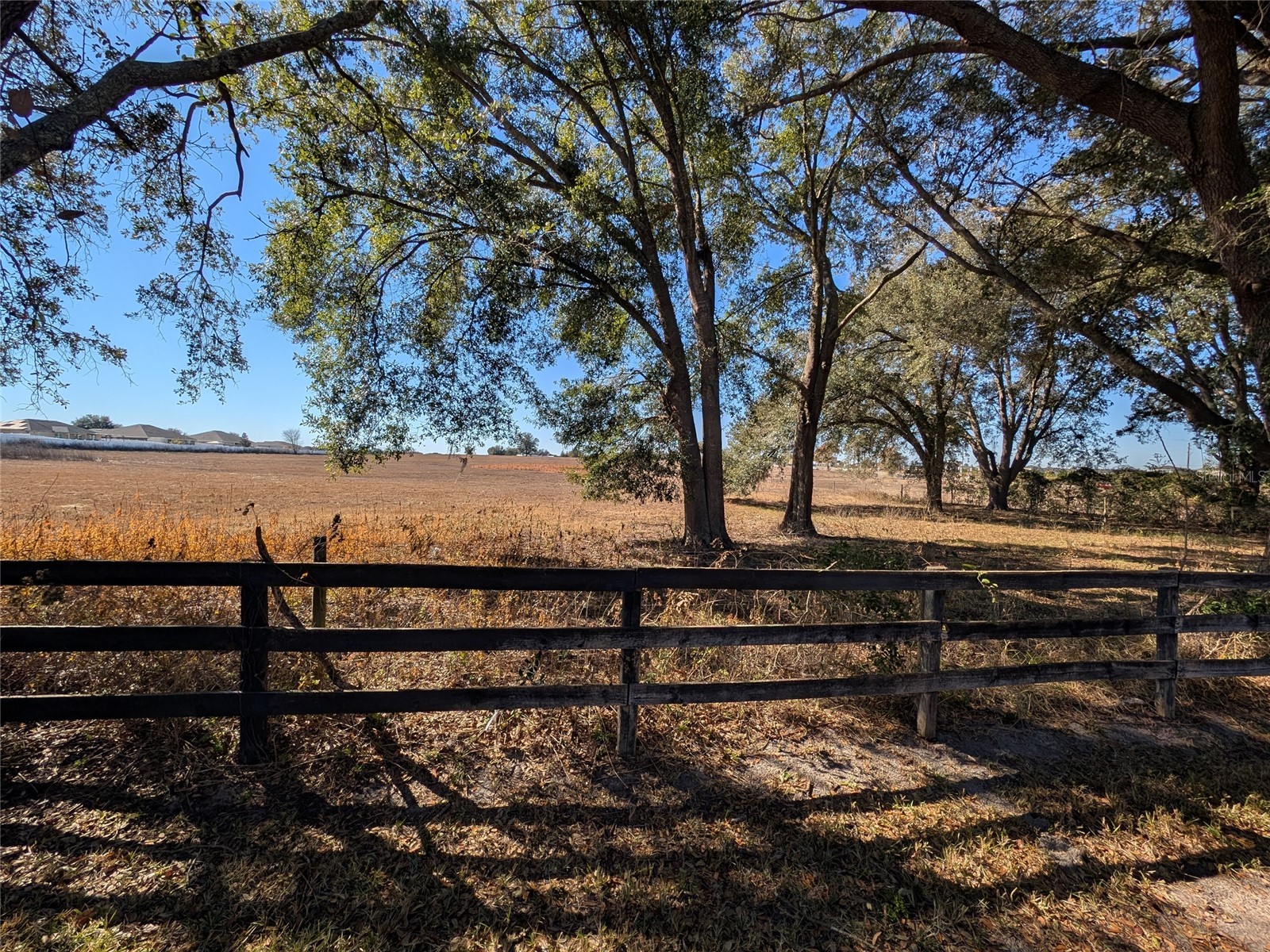 9573 SW 53rd Circle Ocala FL 34476 OM718389 image15