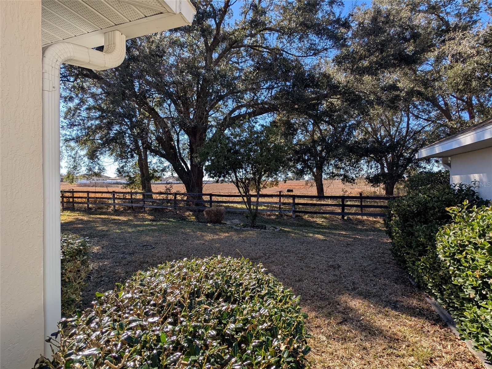 9573 SW 53rd Circle Ocala FL 34476 OM718389 image6