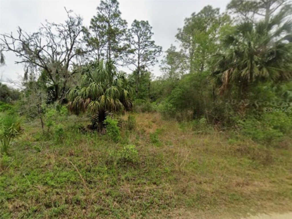 9575 N Westwood Acres Ter Terrace Crystal River FL 34428 S5138776 image4